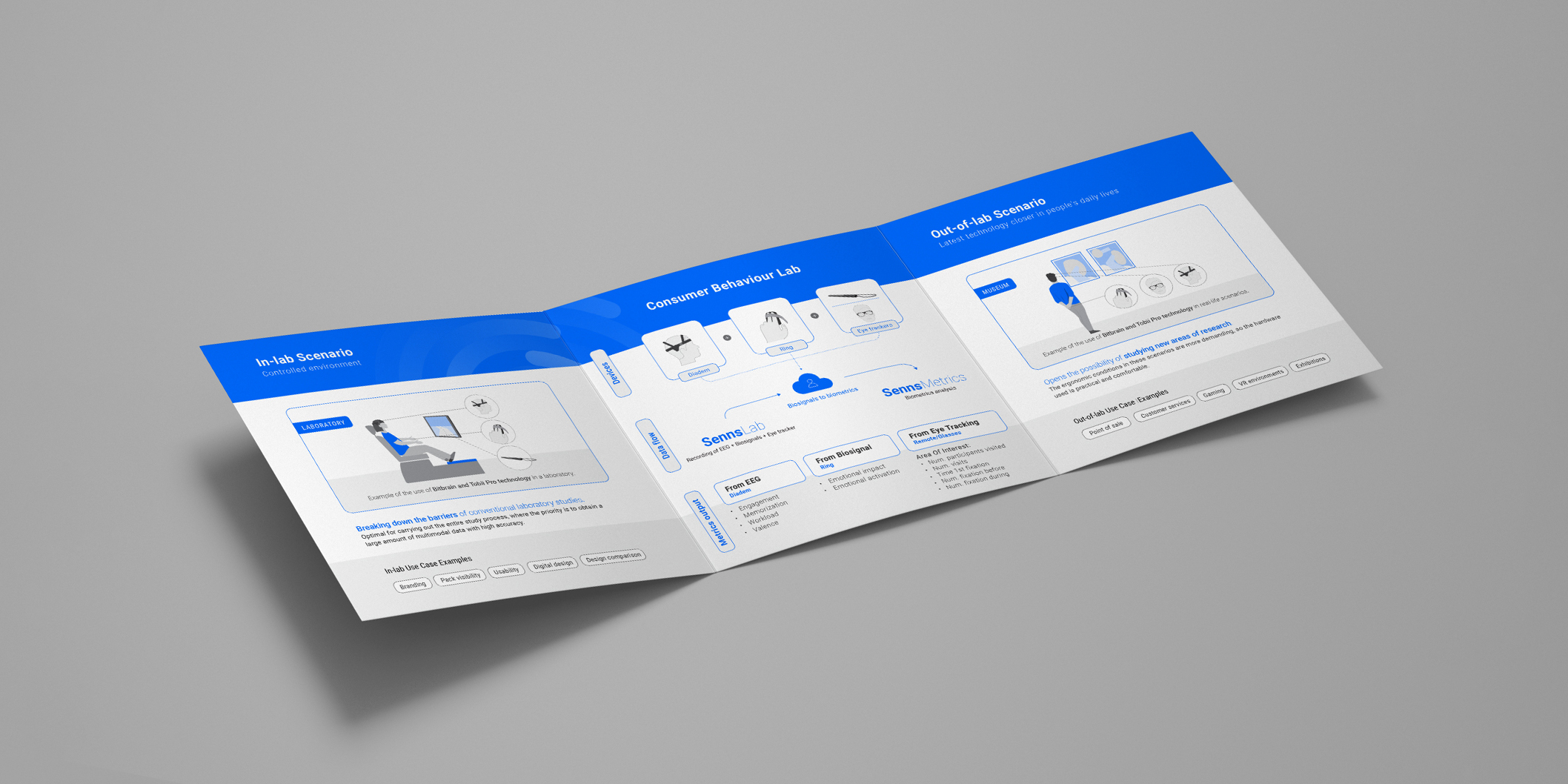 flyer - bitbrain - medidas - 3